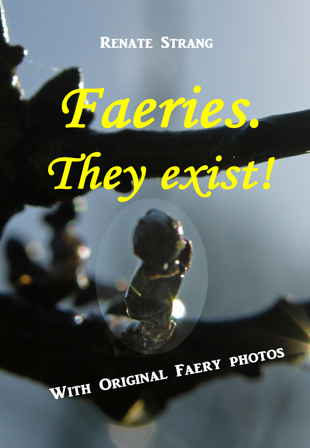 Cover "Faeries, They exist"