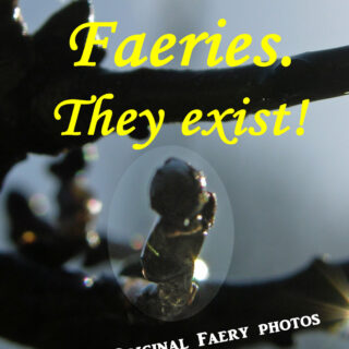 Cover "Faeries, They exist"